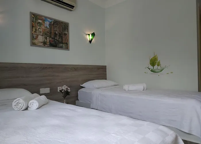 Mico Hotel Ortaca (Mugla)