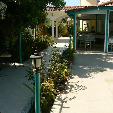 Mico Ortaca (Mugla)