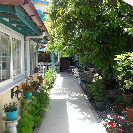 Mico Hotel